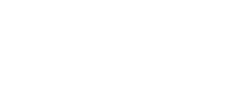 Vision